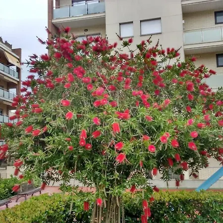 Apartmán Estrella De Fenals