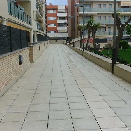 Estrella De Fenals *